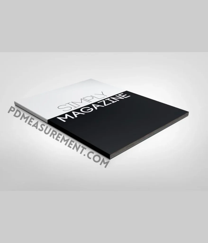 Magazine-12-inches-long