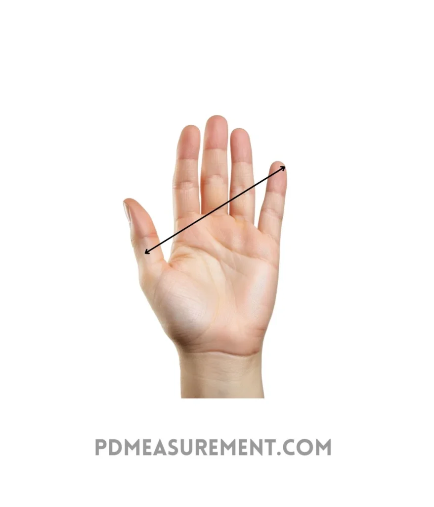 hand-span-thumb-to-pinky-9-inches-long