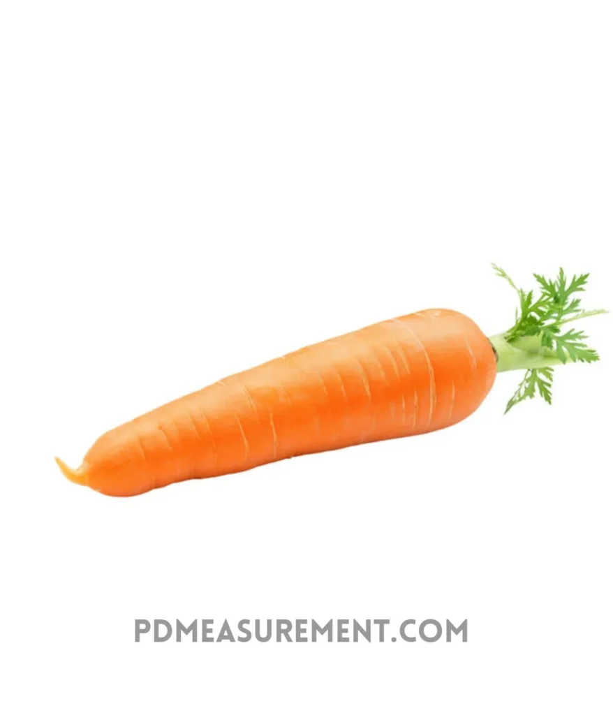 standard-carrot-7-inches-long