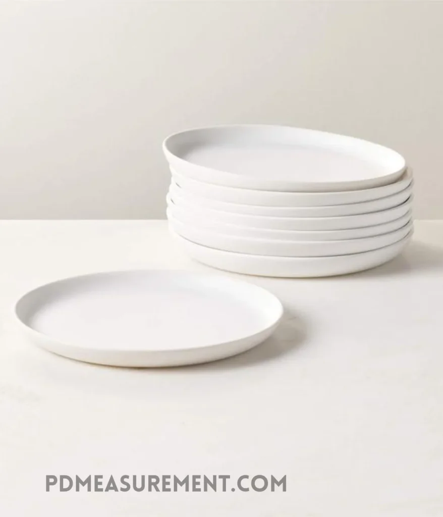 standard-dinner-plate-10-inches-long
