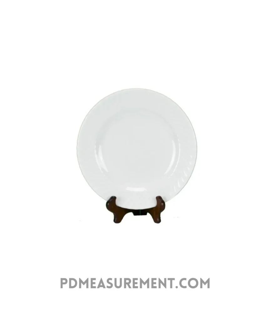standard-dinner-plate-9-inches-long