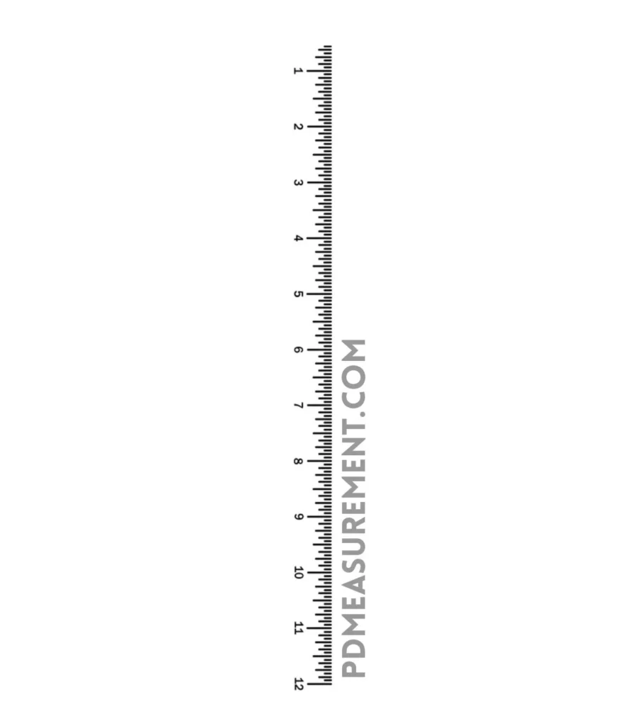 standard-ruler-12-inches-long