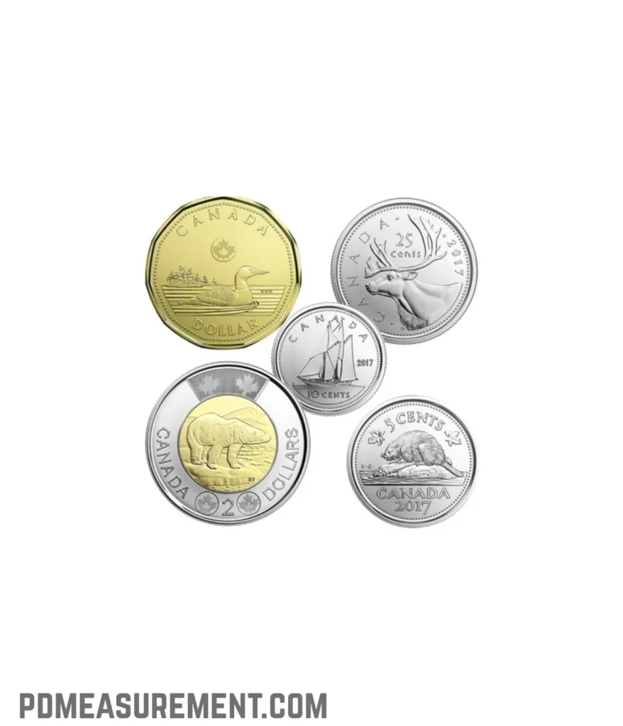 48-canadian-loonie-coins-300-grams