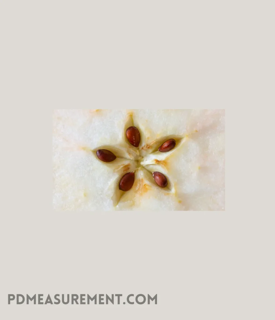 apple-seed-weigh-1-gram