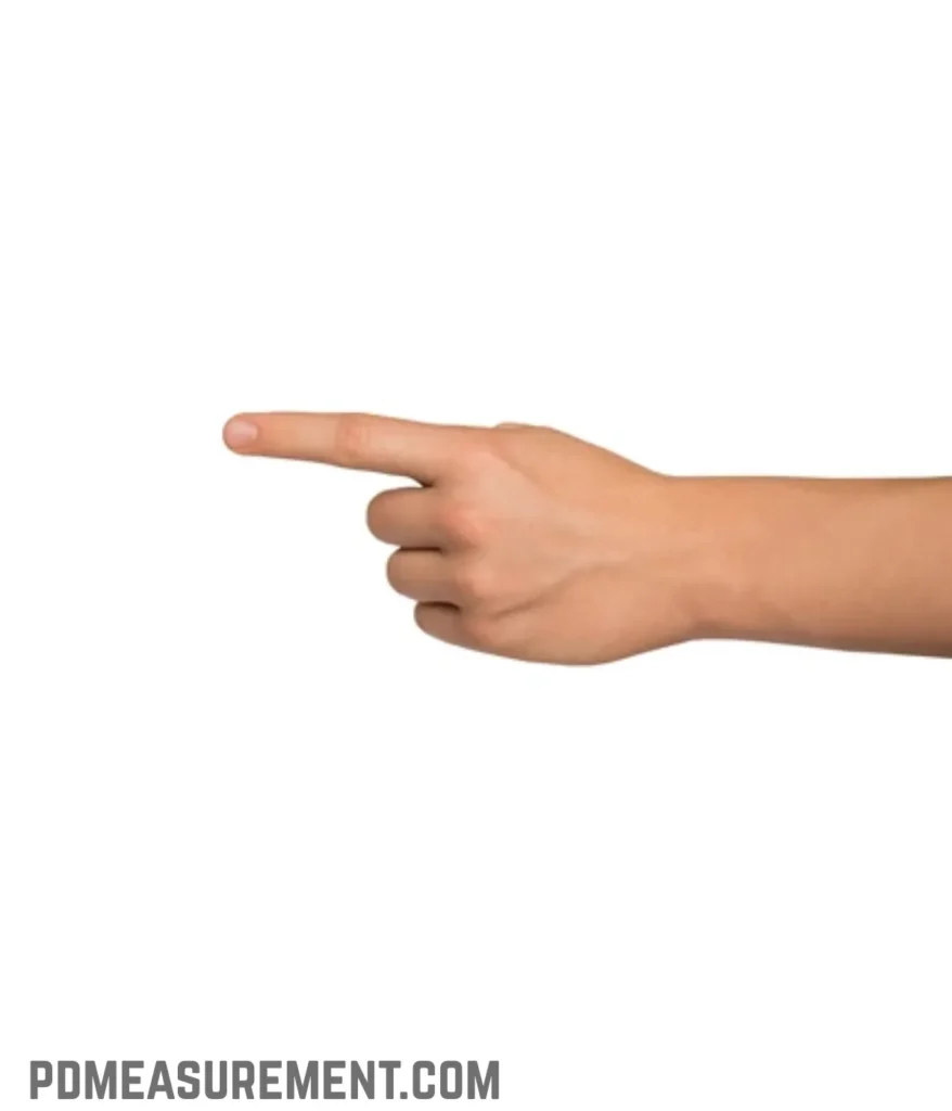 index-finger-joint-section-2,75-inches-long