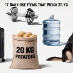 items-that-weigh-20-kg