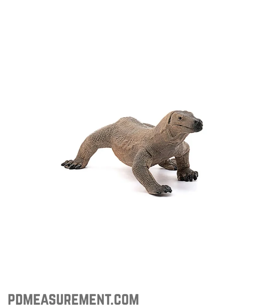 komodo-dragon-adult-70-kilograms