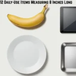 measuring-8-inches-long