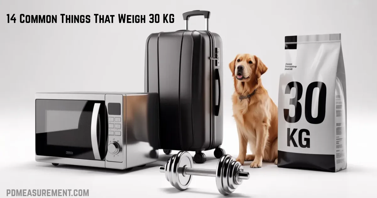 things-that-weigh-30-kg