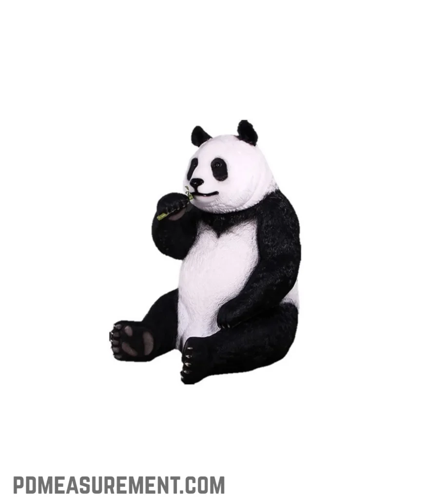 young-giant-panda-50-kilograms