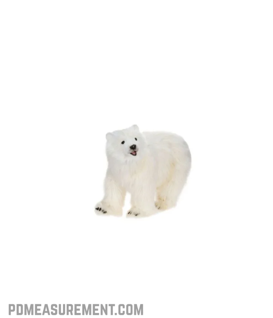 adult-polar-bear-nose-to-tail-3-meters