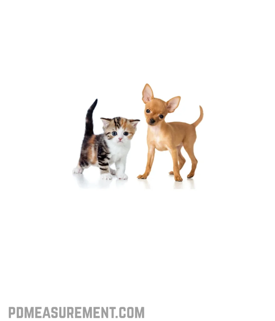 cat-or-small-dog-50-ounces