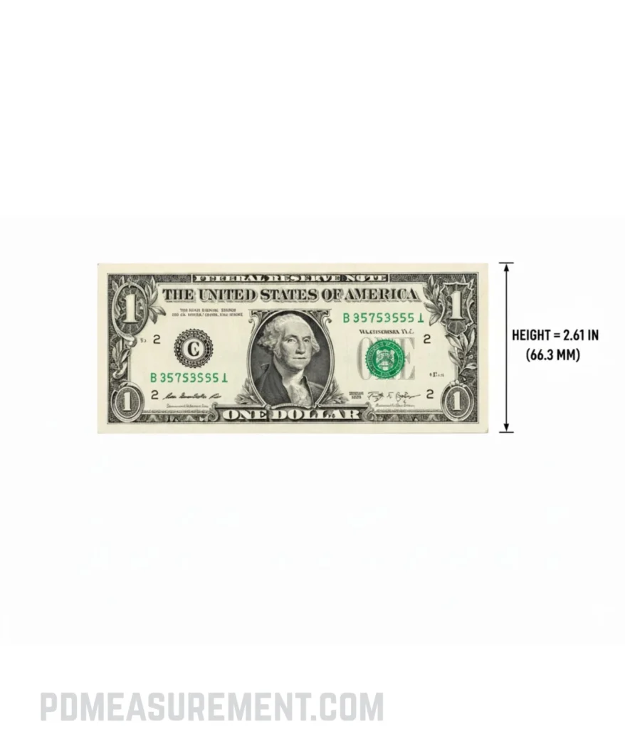 dollar-bill-height