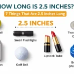 things-that-are-2.5-inches-long