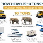 how-heavy-is-10-tons