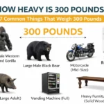 how-heavy-is-300-pounds